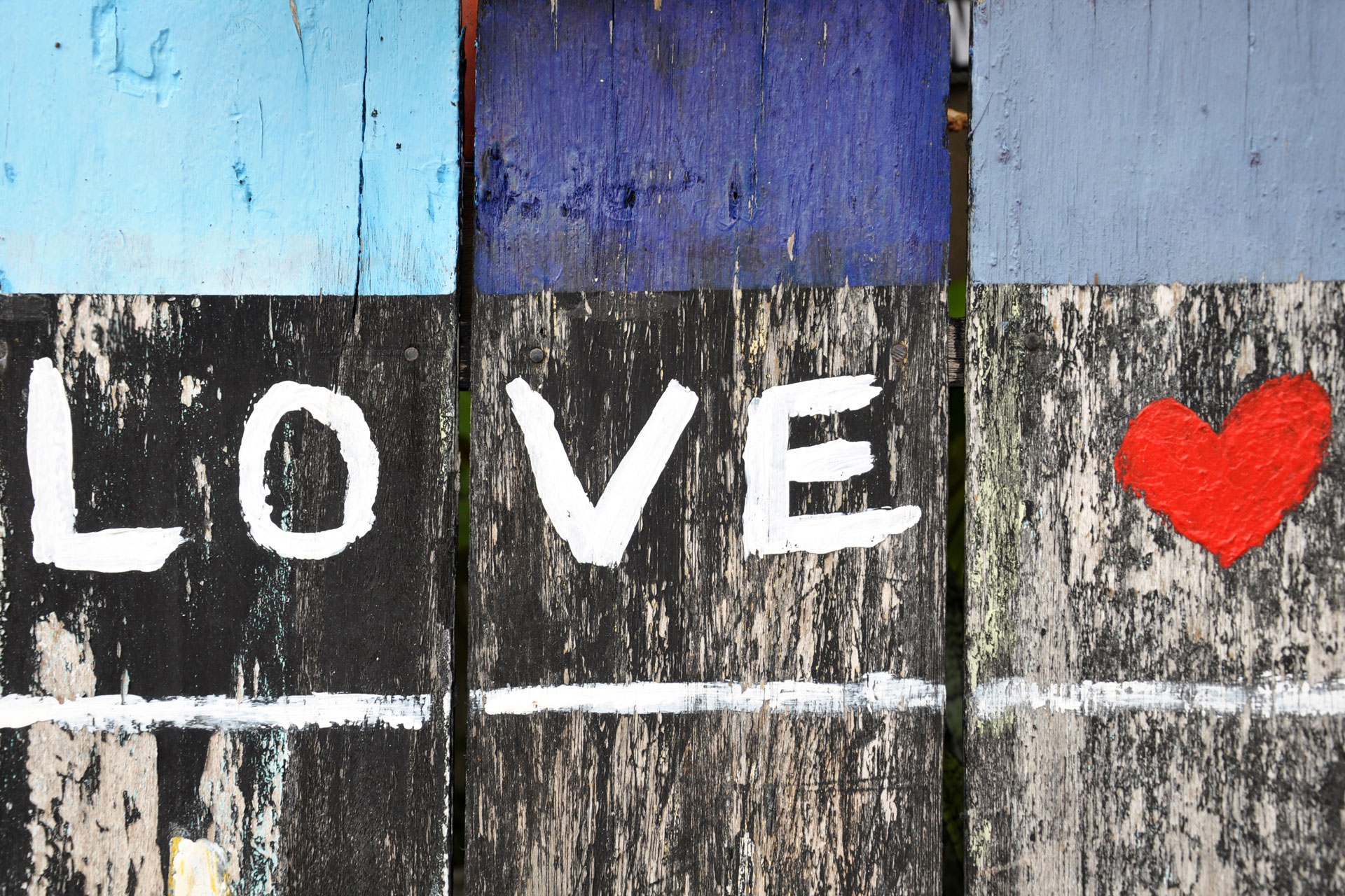 love